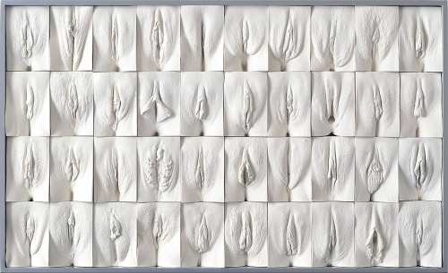 rawsex:  rikkisixx:  The Great Wall of Vagina - Jamie McCartney (x) Jamie made molds of the vaginas of women between 18 and 76 years. Among others, they include twins and transgender women. Women are often confused about their vagina, because they think