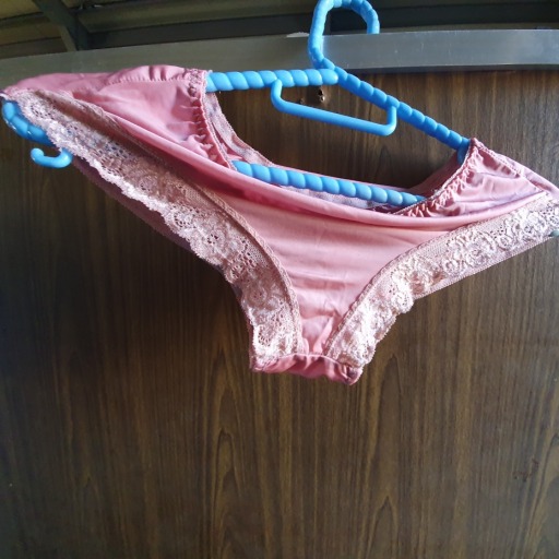 pantyloveblog: