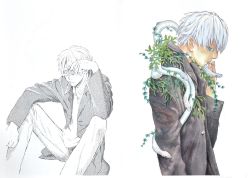 ginkoro:  Some SCANS from New Mushishi Artbook . Part 1蟲師