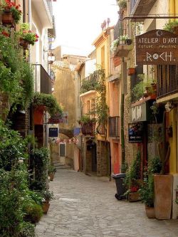 bonitavista:  Collioure, Francephoto via devon