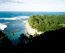 aleuh-a:  nomadda:  I took off 6 days and went to Kauai over