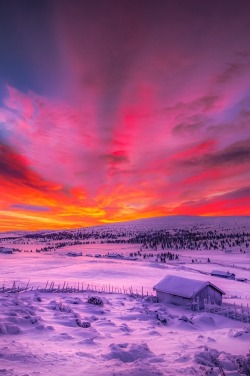 lmmortalgod:  Burning barn by Jørn Allan Pedersen