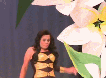 high-to-freedom:  This is a gif of my entire life  Ooohhh…