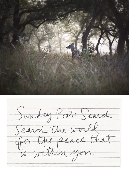 reverendbobbyanger:  Words and image, Reverend Bobby Anger