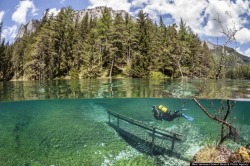 brain-food:  This is most most bizarre underwater world in Austria’s