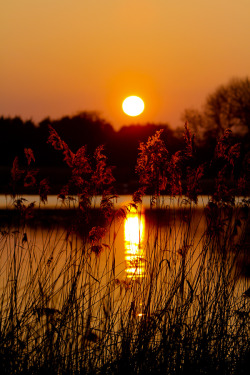 gyclli:  Sunset over Weston Turville Reservoir, Buckinghamshire