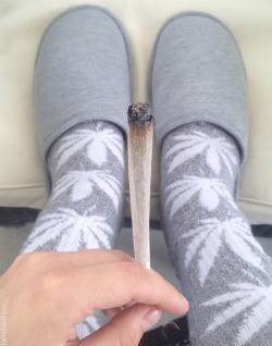 weedmygolden.tumblr.com/post/119808561249/
