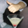 dinnersmeal  replied to your post “Hmm I wonder how Kana will