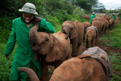 awwww-cute:Elephant orphanage