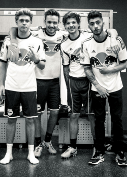 staygold-mp4:  Niall, Liam, Louis and Zayn at the Red Bull Arena