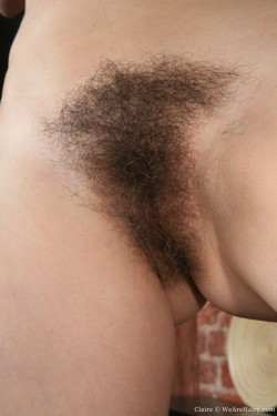 hairypussypics.tumblr.com/post/58069075641/