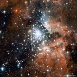 Starburst Cluster in NGC 3603 #nasa #apod #esa #stsci #aura #hubble