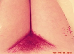 jevaistetuerr:  my pubes match! 