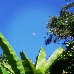 The #moon