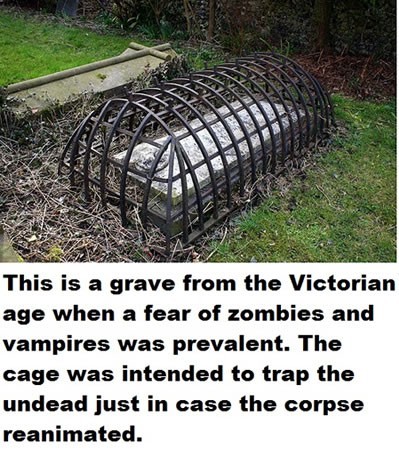 They took no chances