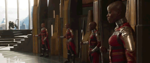 varietiesinlife:The Dora Milaje remind me of the Dahomey Amazons (N’Nonmiton).