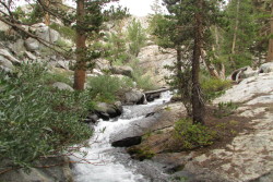 letsbeforestfriends:  river, (by letsbeforestfriends)