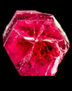 phrux:fuckyeahmineralogy:Red Beryl [x]Aquamarine [x]Pyrite