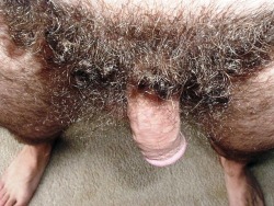 naturallyfurryguys:  mrbiggest:  LOVE THOSE PUBES  That’s some