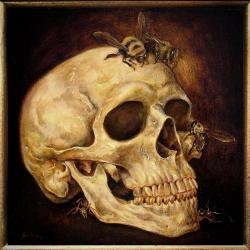 dannygalieote:  Skull 12"x12" Oil on Panel 2011 (sold)