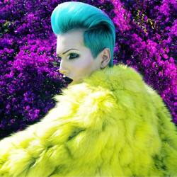 JEFFREE STAR - official, bitch