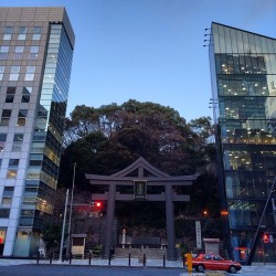 callitanything7:  #tokyo #japan #cityscape #akasaka#神社#ビルにはさまれてる