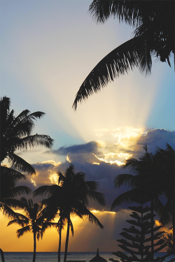 wearevanity:  Sunsets in Mauritius  *zen*