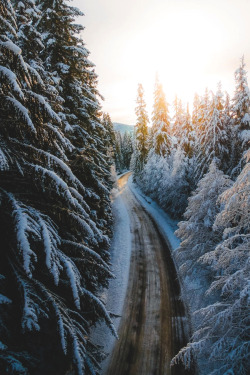 lsleofskye:Snoqualmie Pass | dylankato