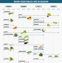 businessinsider:Here’s when fruits and vegetables are actually