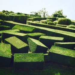 design-art-architecture:Gardening #marqueyssac@mathieulehanneur