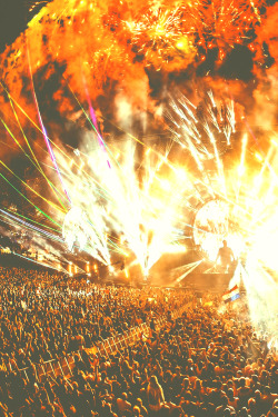 hardwelltr:  HARDWELL @ Ultra Music Festival 2014 