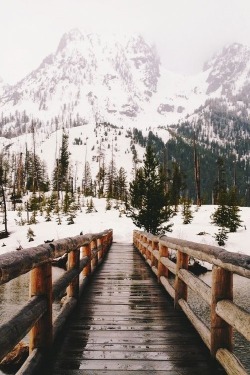 wolverxne:  untitled | by: { saturated } 