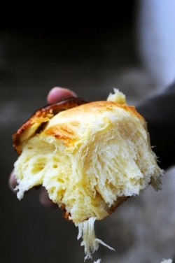 basilgenovese:  Brioche 