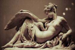 twofigs: Leda and the Swan,   Albert Ernst Carrier Belleuse