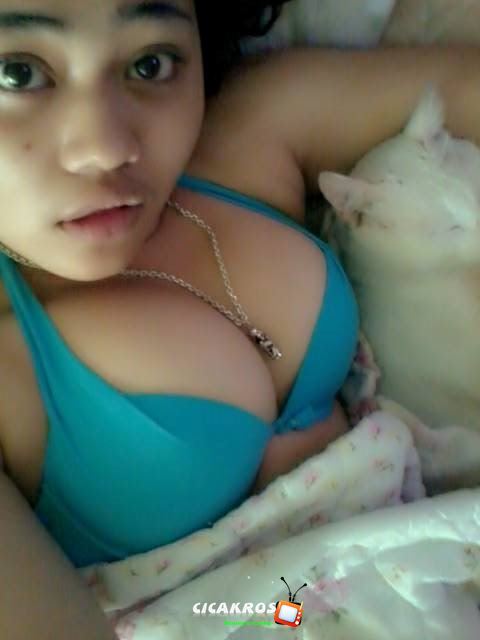 cicakros:  aqilah jb king 