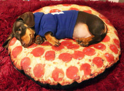 tastefullyoffensive:  Pizza with extra sausage. [pillow by rockabilly