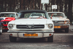 musclecarsppua:  IMG_7079 by Lukasz Z. on Flickr.