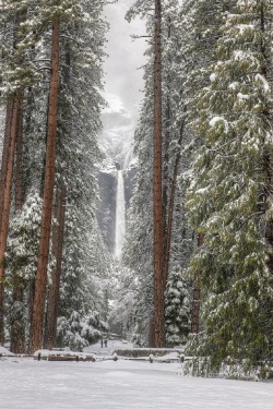 sublim-ature:  Yosemite Falls, CaliforniaRobert Melgar 