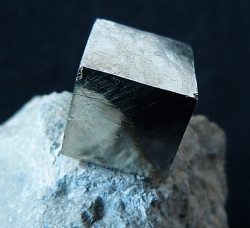 rockon-ro:  PYRITE (Iron Sulfide on Marl) from Logrono, Spain