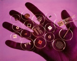 princewifi:  A handful of microelectronic parts, from the March