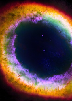 psychetronictonic:    The Ring Nebula   