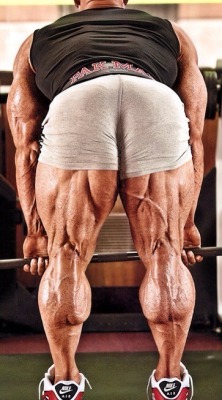 Bodybuilding Inspiration