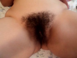 Pelo d’Autore n° 2718 Soffice bontà…. hairy-bush-babes: