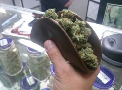 420710420:  Weed Taco with a hash shell  Roll this up in a raw