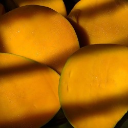 distantvoices:  the world’s most versatile fruit