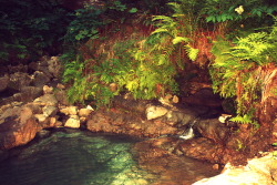 official-kato-page:   Cougar hot springs near Rainbow, Oregon.