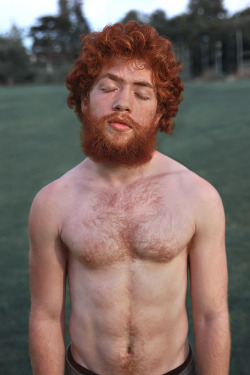 Red Headed Male Quester
