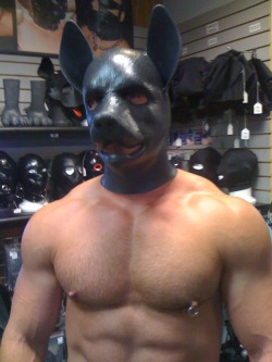 the-mounted-mutt:  samuelmuscle:  I’m trying on the Rubber