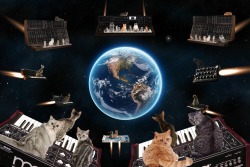 CATS ON SYNTHESIZERS IN SPACE