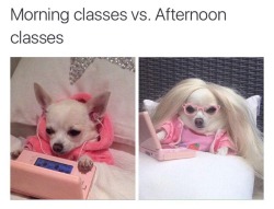 businesshag:  Is that Elle Woods 